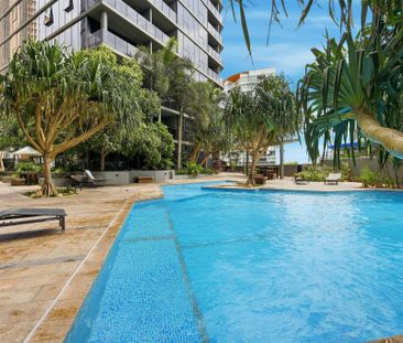 Modern, Light-Filled Apartment in Prime Location - Photo 6