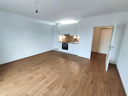 Zweitbezug nach Generalsanierung, top ausgestattete 2-Zimmerwohnung, 44m², nähe Elterleinplatz - Photo 2