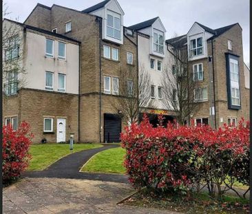 1 bedroom flat to rent - Photo 6