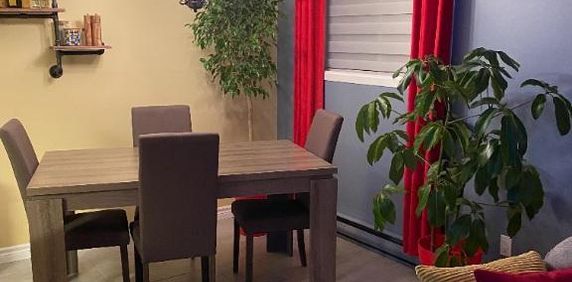 Grand 4 1/2 Libre Immédiatement (terrasse) - Photo 2