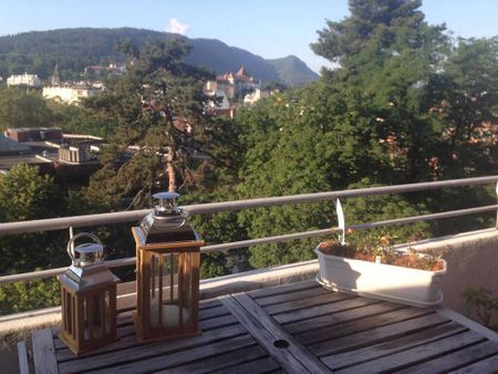 Location Appartement 3 pièces 81m² ANNECY 74000 - Photo 4