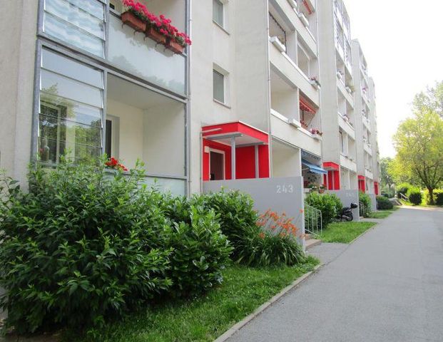 *Frisch sanierte 3-Raum Wohnung mit Dusche und Balkon im 1. Obergeschoss! - Photo 1