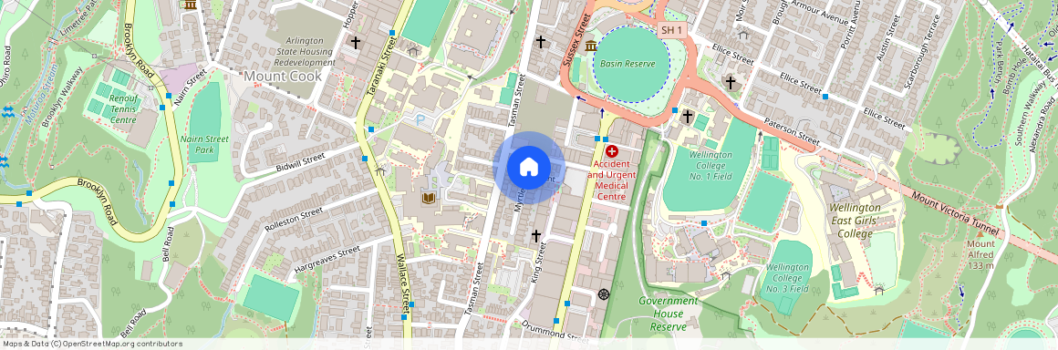 4 Myrtle Cres, Mount Cook, Wellington City