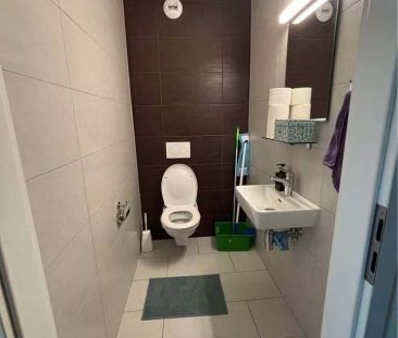 Bel appartement de 3.5 pièces à louer ! - Photo 6