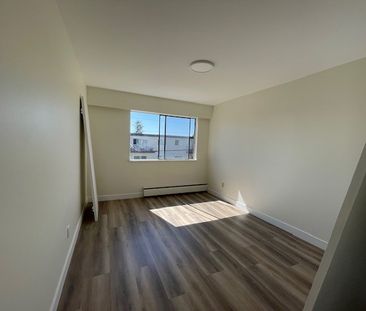 Newly Renovated Second Floor Apartment in White Rock - Photo 5