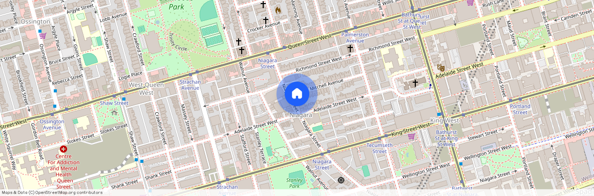 #Main - 246 Niagara Street, Toronto C01