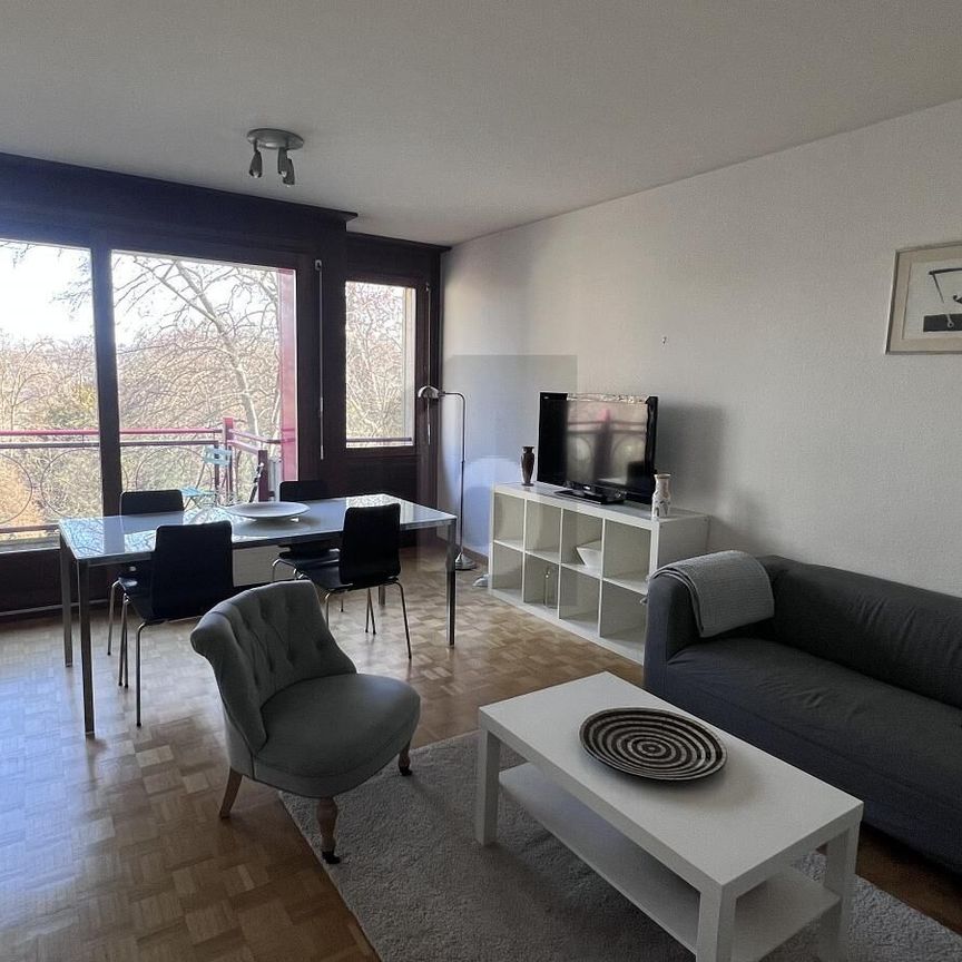 SPACIEUX, CALME & PROCHE DU LAC - Foto 1