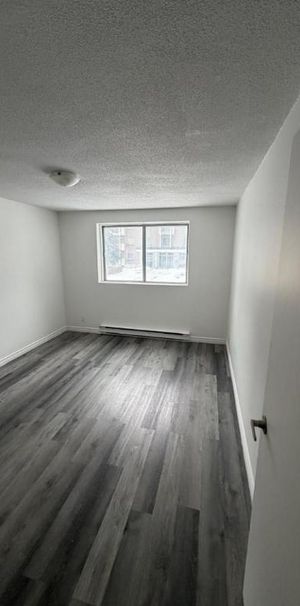 1 CH - 1 SDB - Gatineau - $1,499 /mo - Photo 1
