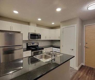 MODERN 1 Bedroom with In-suite laundry AND Dishwasher | 16315 96A A... - Photo 1