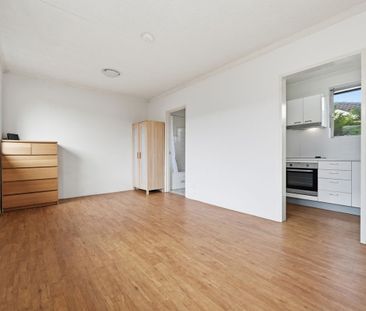 STUDIO APARTMENT - 5 MINUTE WALK TO UNSW & PRINCE OF WALES HOSPITAL - Photo 4