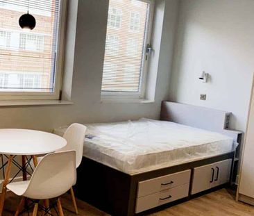 Large Premier Studio - Photo 6