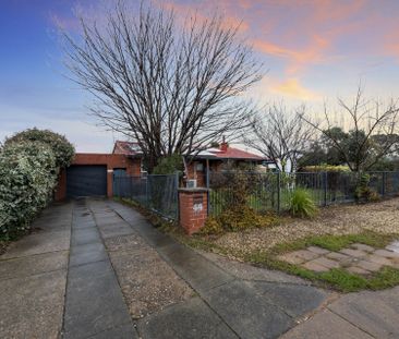 44 Banfield Street, Downer - Photo 6