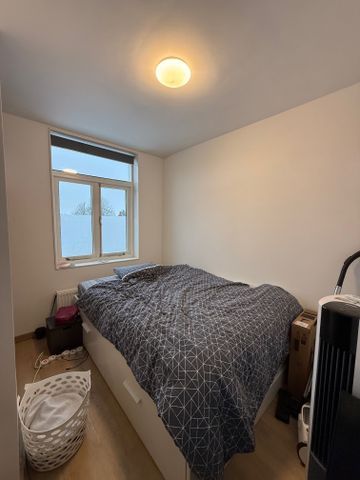 Tuinbouwstraat, Noorderplantsoenbuurt, Oranjewijk, Oude wijken, Groningen, Nederland, 9717 JJ, Nederland - Foto 5