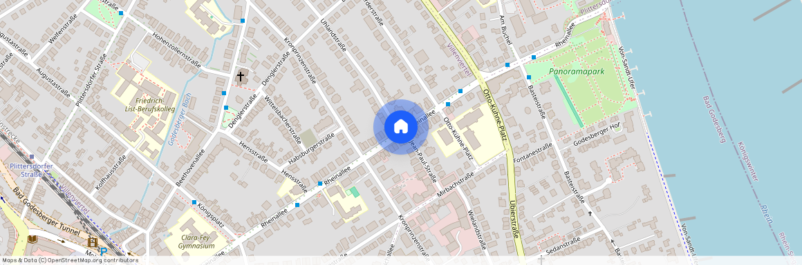 Rheinallee, 53173 Bonn - Bad Godesberg