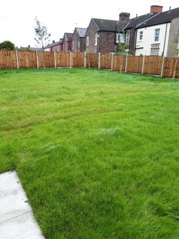 Wincanton Street, Liverpool - Photo 3