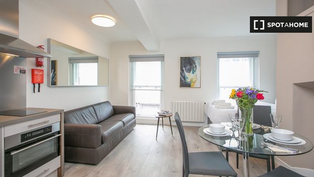 Serviced studio apartment for rent in St Stephen's Green, D2 - Photo 1