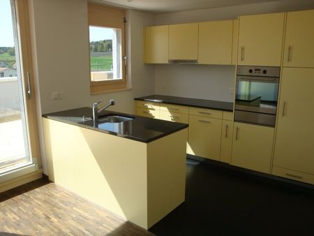 Attika-Wohnung mit Dachterrasse - Foto 5