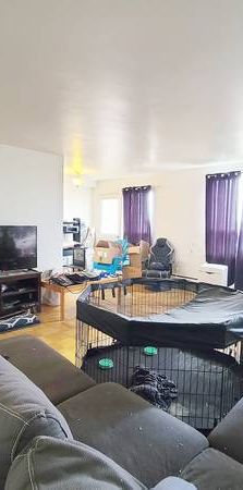 LARGE 1 BEDROOM APARTMENT! - Photo 1