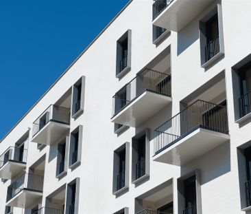 Apartamento T1 em Braga - Photo 4