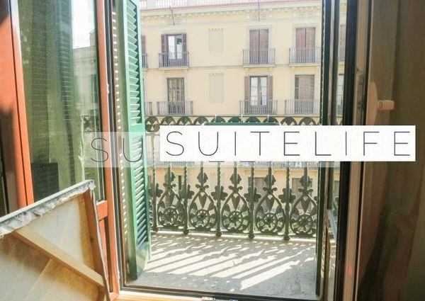 Monsieur Van Damme Lives Upstairs