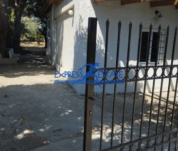 Μονοκατοικία για ενοικίαση Άγιος Παντελεήμονας (Μαραθώνας) - Photo 6