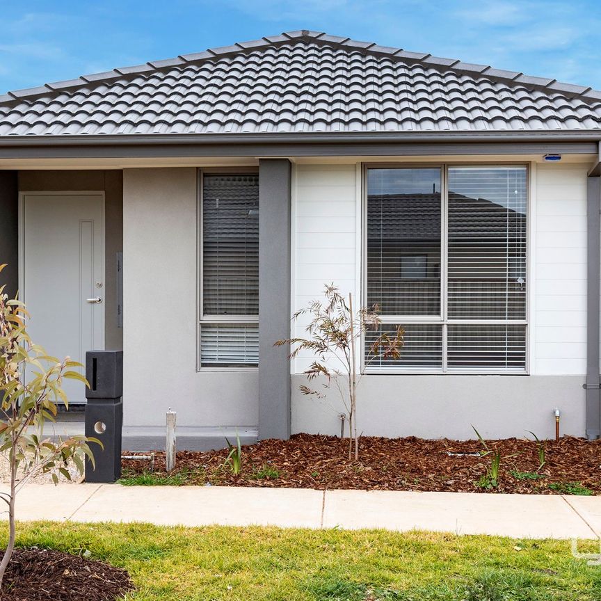 BRAND NEW FAMILY HOME - Photo 1