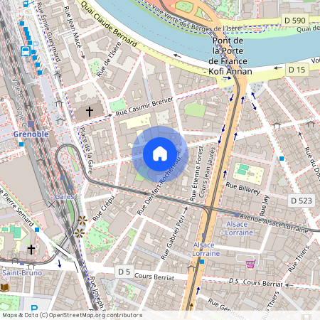 33 Avenue Félix Viallet, Grenoble