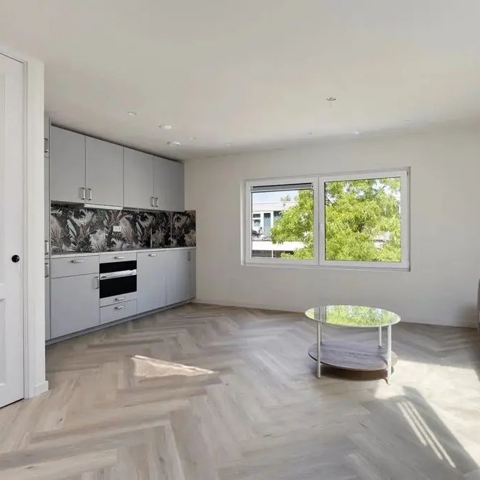 Appartement de deux chambres à louer - Nieuwe Laan, Amsterdam - Photo 1
