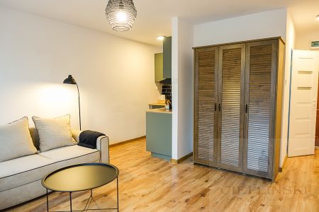 Kawalerka 29 m2 d. standard do wynajęcia 1800+345 - Zdjęcie 2