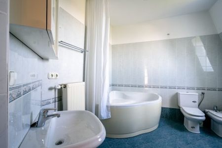 Hangya utca - Fotó 2