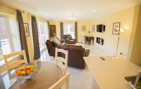 Windmill Lane, Dublin - Photo 5