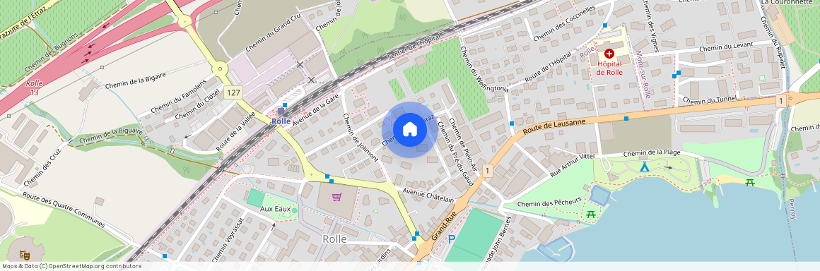 1180, Rolle, Chemin des Plantaz, 11