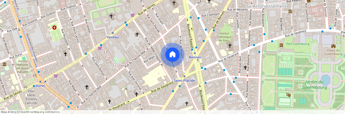 43 Rue Saint-Placide, 75006 Paris, France
