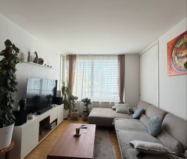 Aarau Wohnung 2.5 zum Mieten - Photo 1