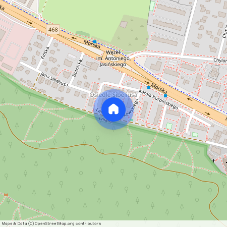 ul. Leopolda Stokowskiego, Cisowa, Gdynia, pomorskie