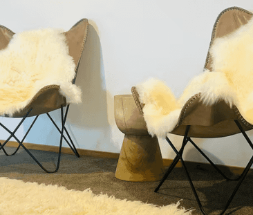 Architecturally Renovated 3-Bedroom Home in Centra - Photo 5