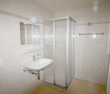 Villa jumelée de 6 pièces avec terrasse et jardin à Bellevue - Photo 6