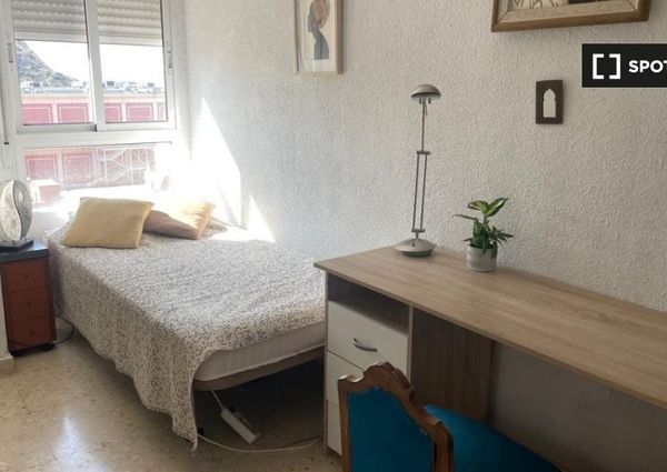 alicante, Valencian Community 03013