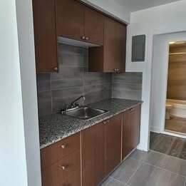 2 CH - 1 SDB - Montréal - $1,568 /mo - Photo 3