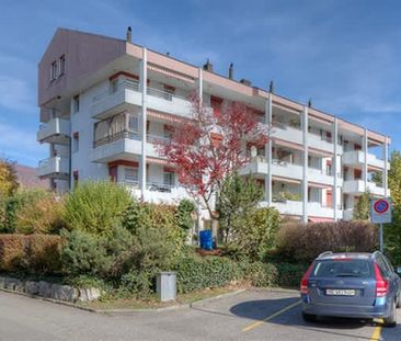 3.5 Zimmer, EG - Photo 2