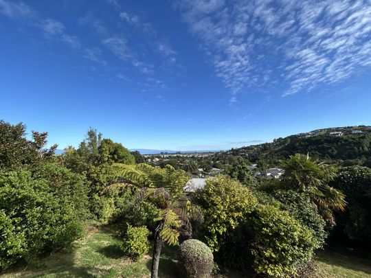 Spectacular Views on Waimea Road - Photo 1