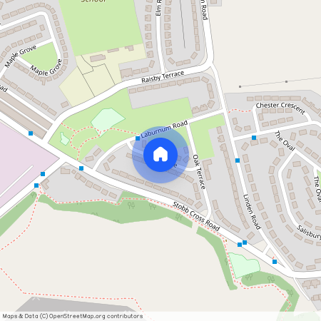 Ash Terrace, West Cornforth, DL17