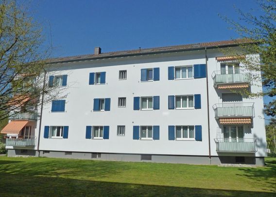 Moderne Wohnung unmittelbar beim Kantonsspital Aarau - Photo 1