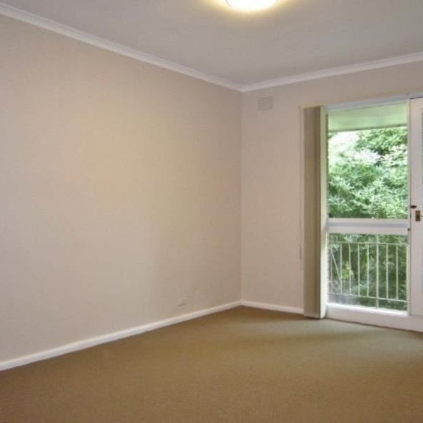 2/131 Locksley Road, Ivanhoe - Photo 1