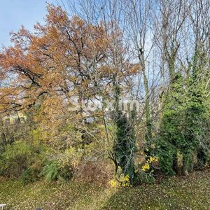 Charmant appartement Rénové et Meublé dans une petite copropriété - Photo 2