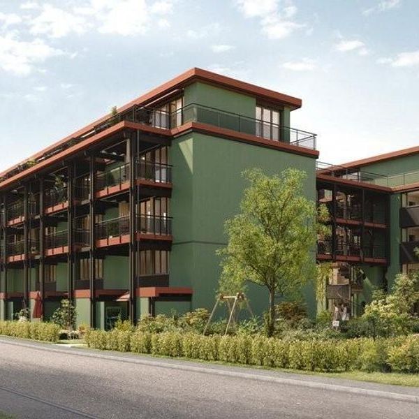 Looking for a unique apartment in Birsfelden? - Photo 1