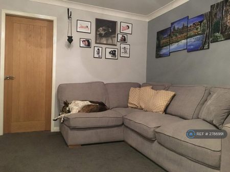 3 bedroom semi-detached house to rent - Photo 2