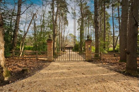 A substantial detached country house with a pool in one of Farnham's most sought after locations. - Photo 5