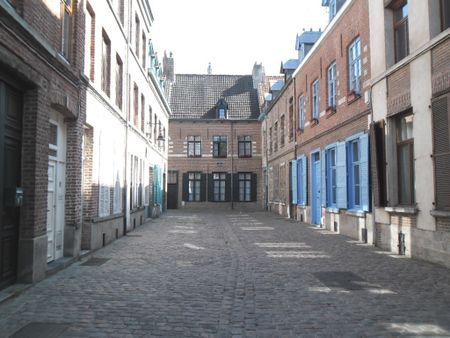 Location Appartement 1 pièce 36m² LILLE 59800 - Photo 3