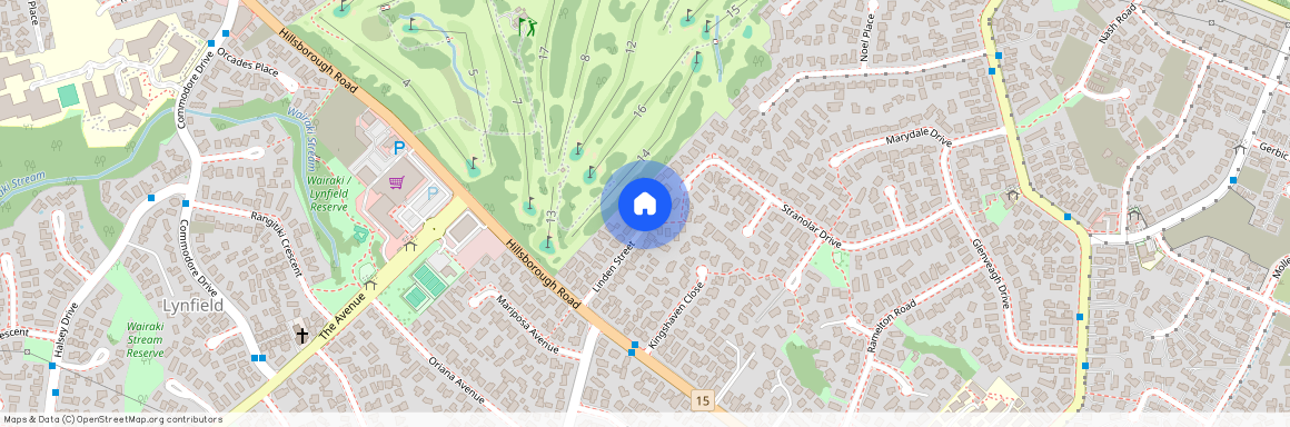 20 Linden Street, Mount Roskill, Auckland City